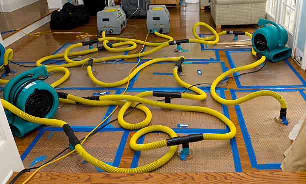 Professional Basement Flood Cleanup technician working in Medimont, ID